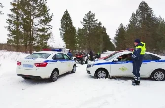 сотрудники полиции проводят рейд в лесу
