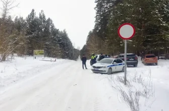 рейд в лесу