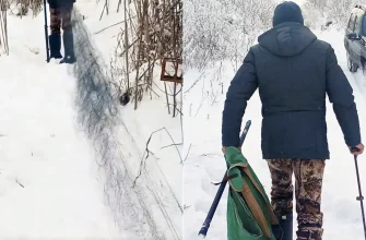 сети и ловушки для птиц в лесу