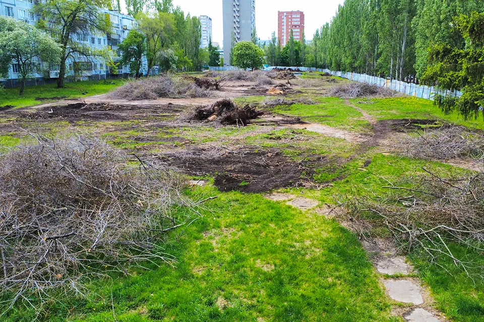 опиловка деревьев на бульваре Туполева