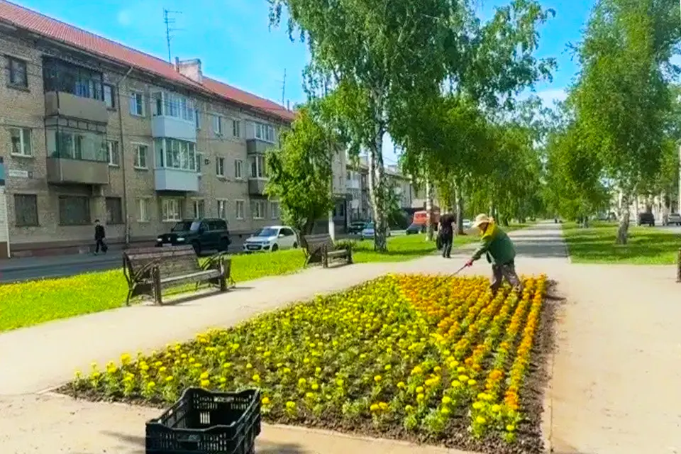 клумба на улице Карла Маркса