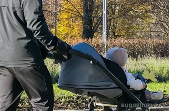 папа везет ребенка в коляске на прогулке