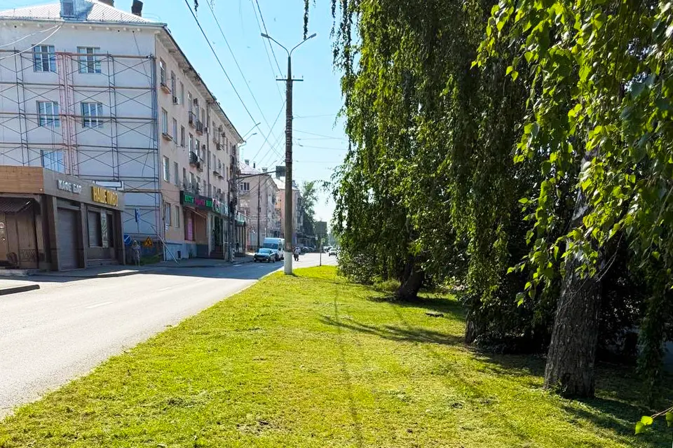 скошена трава на улице Карла Маркса
