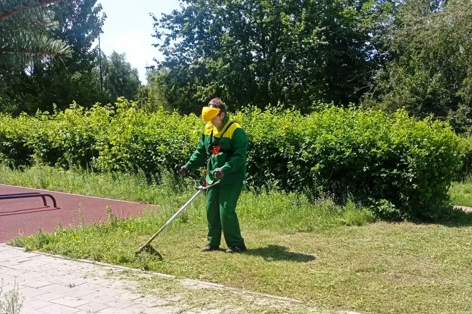 покос травы на бульваре Ленина