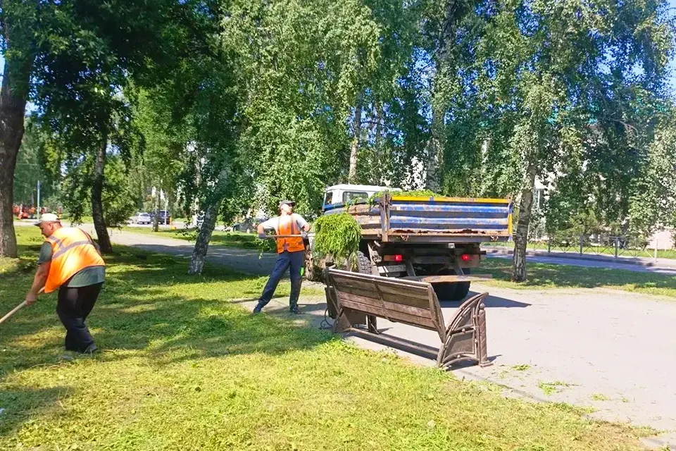уборка скошенной травы