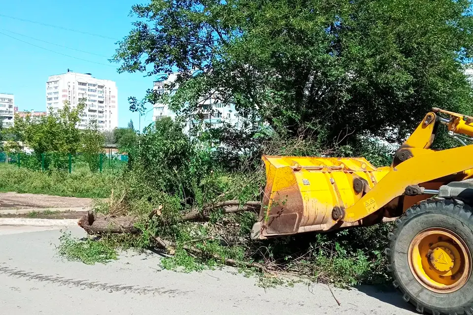 уборка упавшего дерева на улице 70 лет Октября