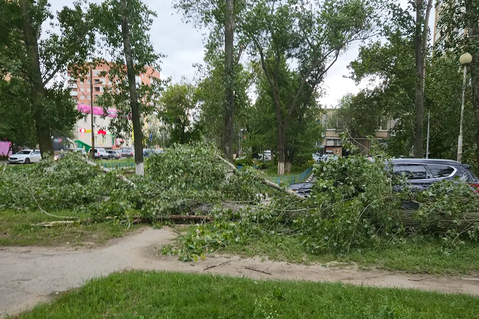 дерево упало на улице Чайкиной