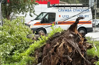 служба спасения на улице Мира