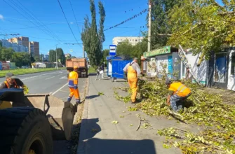 уборка упавших деревьев на улице Мира