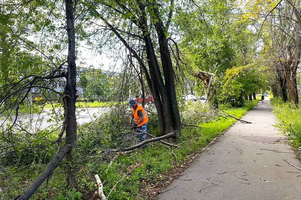 уборка упавших деревьев в квартале