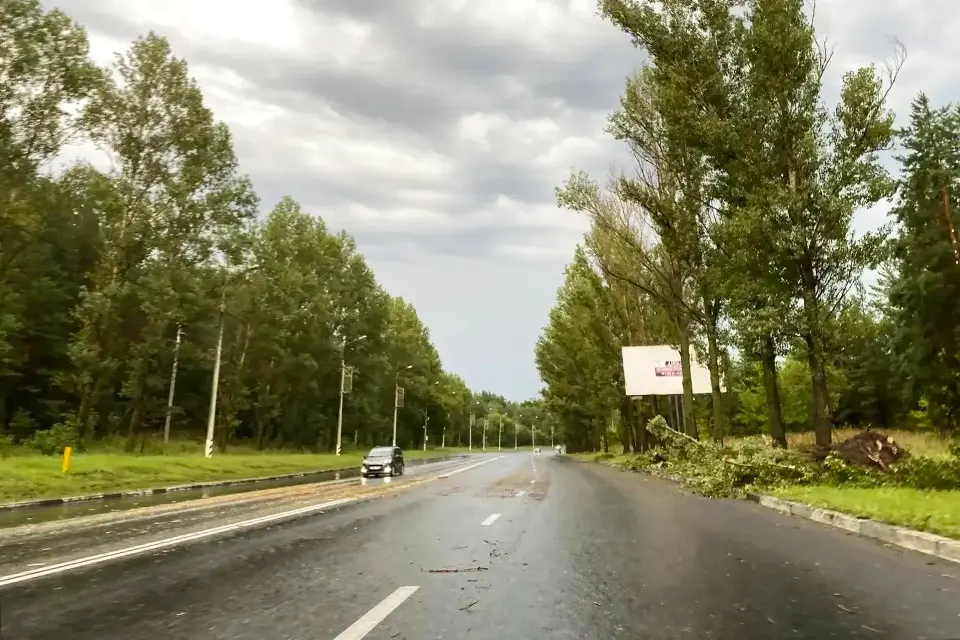 Лесопарковое шоссе