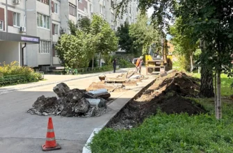 экопаркова во дворе автозаводское шоссе 39 асфальт ремонт