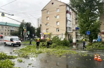 спасатели убирают упавшее дерево на улице Мира