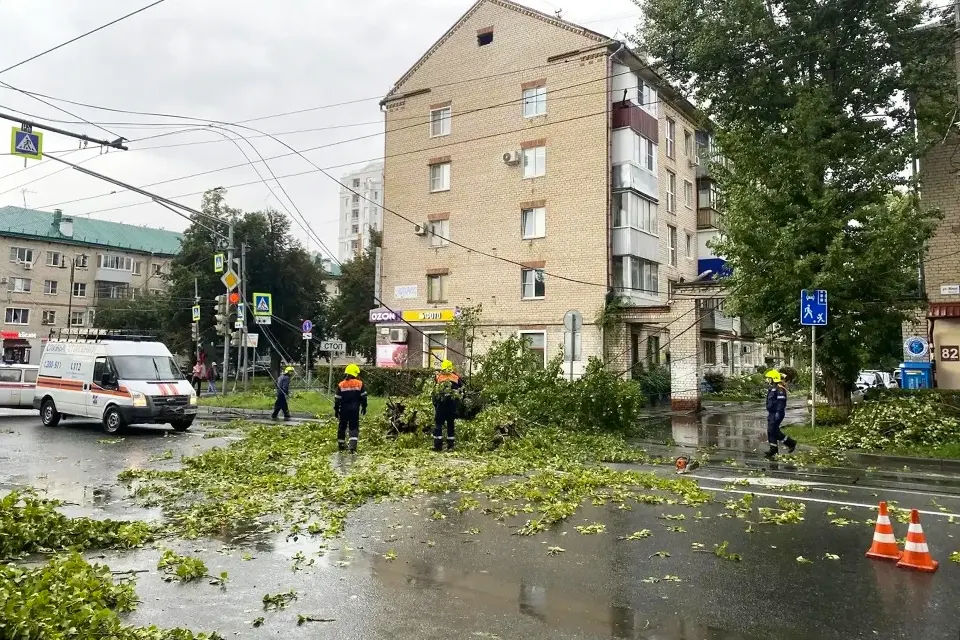 спасатели убирают упавшее дерево на улице Мира