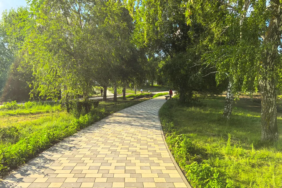 новая пешеходная дорожка на Певческом поле