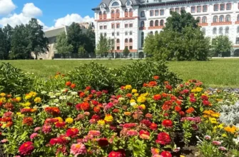 клумба на улице Свердлова
