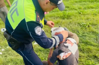 сотрудник полиции делает перевязку пострадавшему в дтп