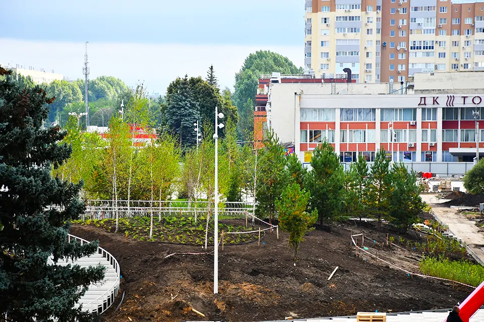 озеленение Центральной площади
