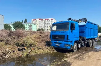 вывоз веток на улице Октябрьской